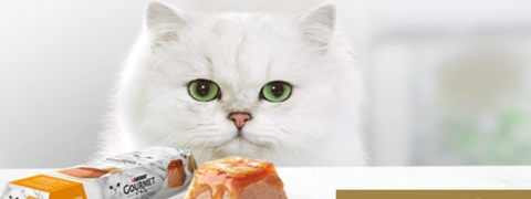 Erhalte bei Zooplus 25% Neukunden-Ersparnis auf Premium-Katzenfutter
