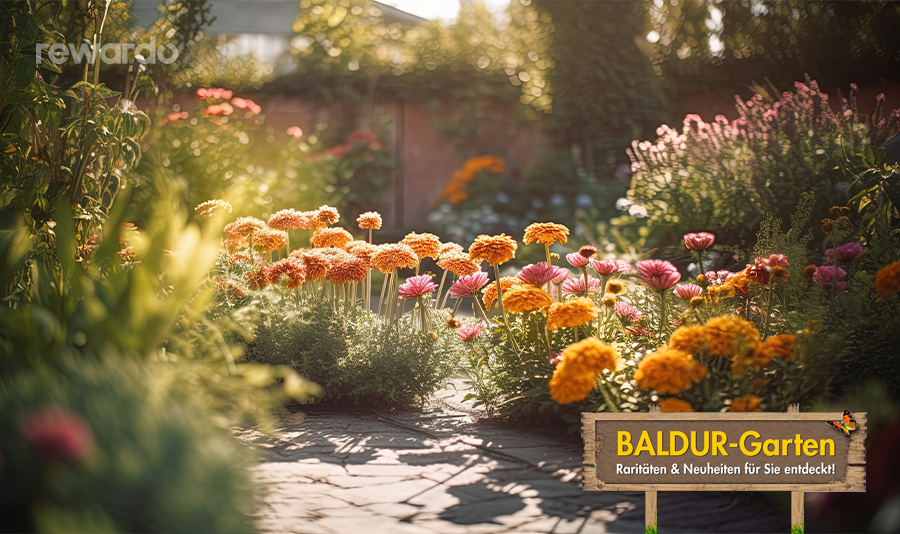BALDUR-Garten Gutschein sichern und mit der rewardo Cashback Aktion noch mehr sparen.