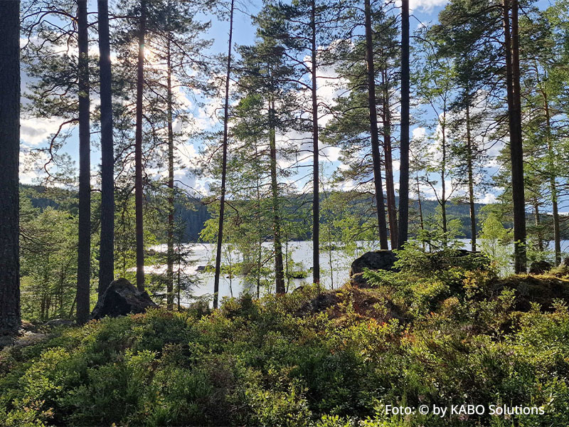 Am See Västra Skärjen bei Filipstad, Schweden - Waldlandschaft im Hintergrund der See