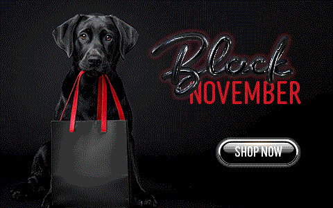 Black November: Entdecke die besten Schnäppchen des Jahres!