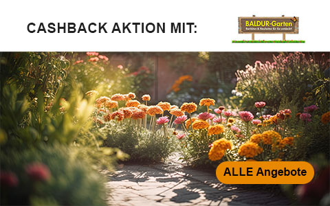 BALDUR-Garten Cashback Aktionen