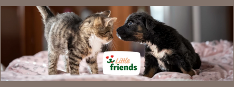 Fressnapf Little Friends - Mitglied werden - bis 15% Rabatt!