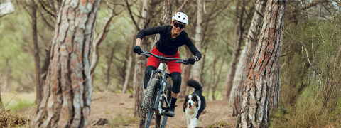 Gonser Gutschein: Spare bis zu 55% auf E-Bikes & Fahrräder! Gonser Gutschein: Spare bis zu 55% auf E-Bikes & Fahrräder!