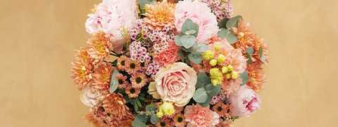 KANEL Gutschein: 5% Rabatt auf deine nächste Bestellung