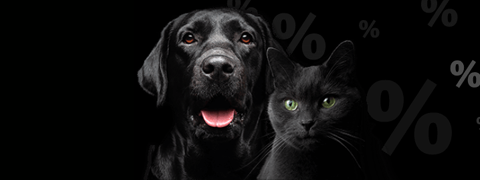 Fressnapf Gutschein: 25% Rabatt auf ALLES* 