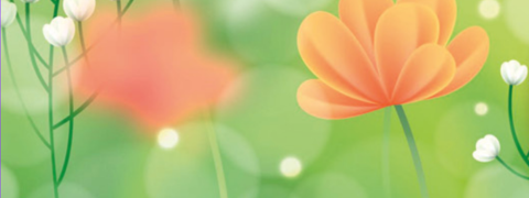 Vedia Gutscheincode: 20CHF Rabatt ab 99CHF MBW