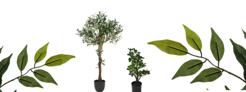 Conforama Coupon: 30% Rabatt auf Kunstpflanzen und -blumen