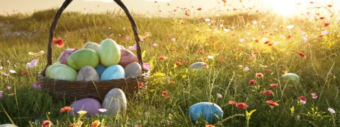 Sichere dir 15% Oster-Rabatt mit dem Die moderne Hausfrau Rabattcode