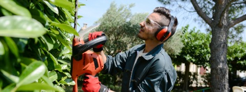 Gewaltige 50% JUMBO Rabatt auf ausgewählte Gartenmaschinen entdecken