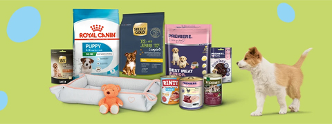 Alles für den perfekten Welpenstart mit dem Fressnapf Gutschein