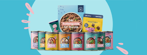 Bis zu 49% Pets Deli Rabatt auf Hunde-Probierpakete