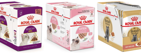 Qualipet Voucher: 21% Rabatt auf Royal Canin Nassfutter