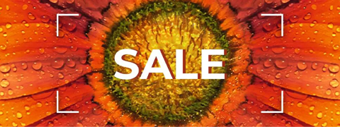 Bis zu 50% sparen im grossen Sale mit dem Yves Rocher Gutschein