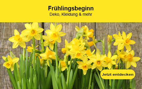 Frühlings-DEALS bei rewardo mit Cashback & Rabatten Frühlings-DEALS bei rewardo mit Cashback & Rabatten