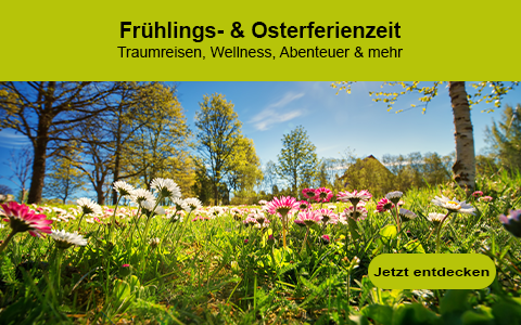 Top-Reiseangebote für deine Frühlingsferien 2025 Top-Reiseangebote für deine Frühlingsferien 2025
