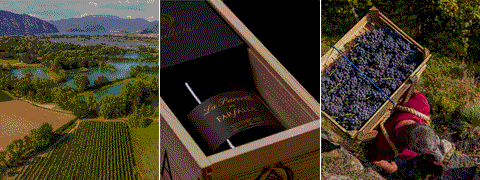 20CHF Tannico Gutschein 20CHF Tannico Gutschein