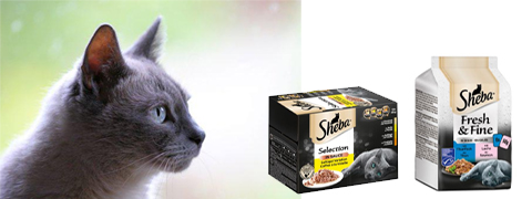 15% Gutschein auf Sheba Katzenfutter & Katzensnacks